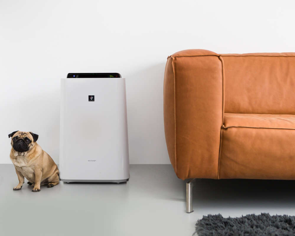 Oczyszczacz powietrza Sharp KC-D50EUW w salonie