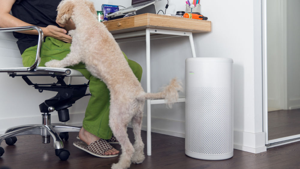 oczyszczacz powietrza LIFAairLA333 w pokoju