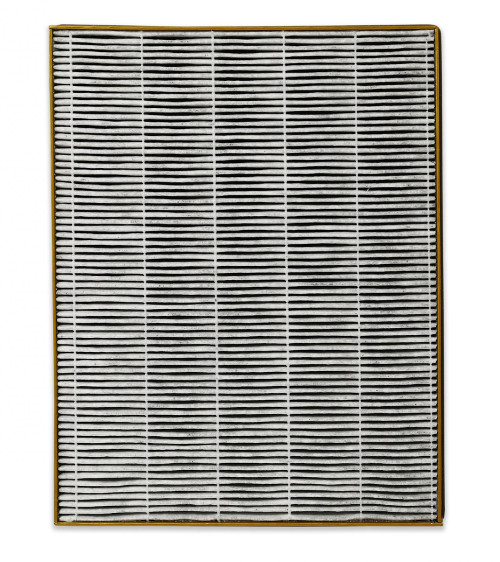 Filtr do oczyszczacza powietrza Toshiba-CAF-X116XPL