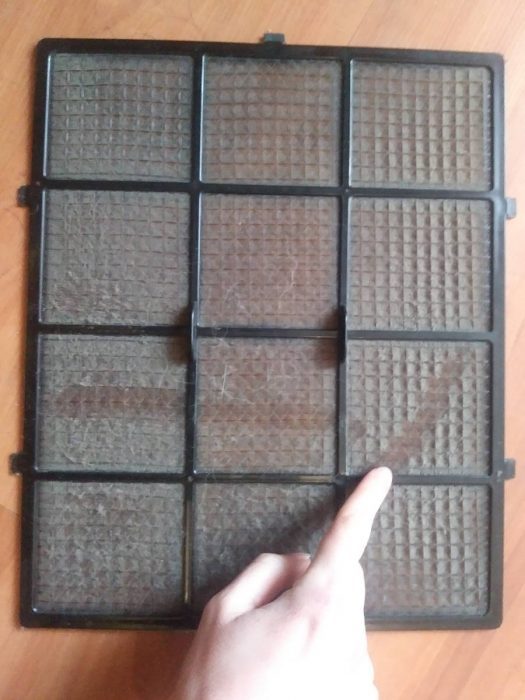 Kurz i sierść na filtrze wstępnym oczyszczacza powietrza