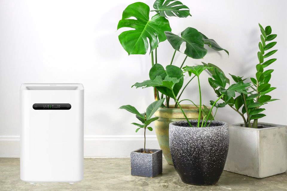 Nawilżacz powietrza Xiaomi z roślinami doniczkowymi