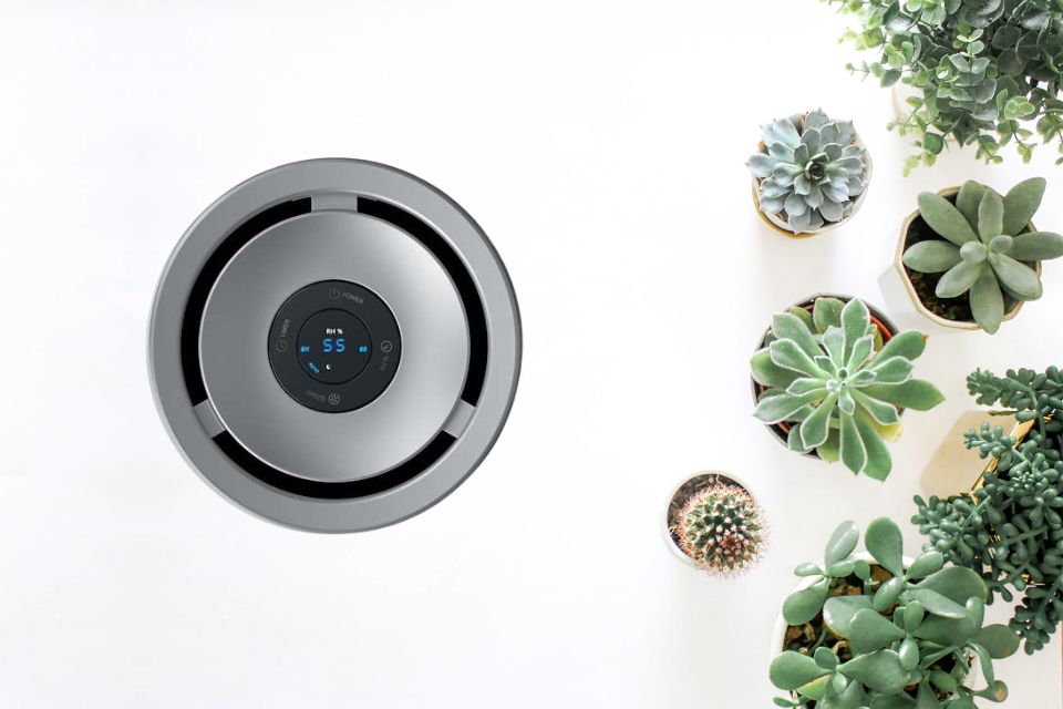 Nawilżacz powietrza i kilka roślin doniczkowych widziane od góry