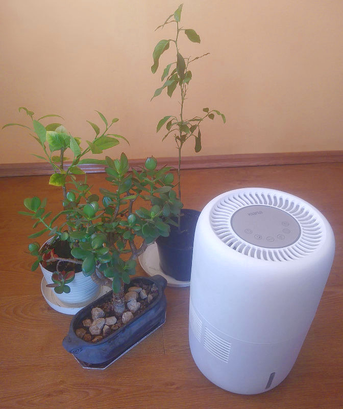 Nawilżacz powietrza do roślin - Klarta Humea WiFi Nawilżacz Klarta Humea WiFi z roślinami