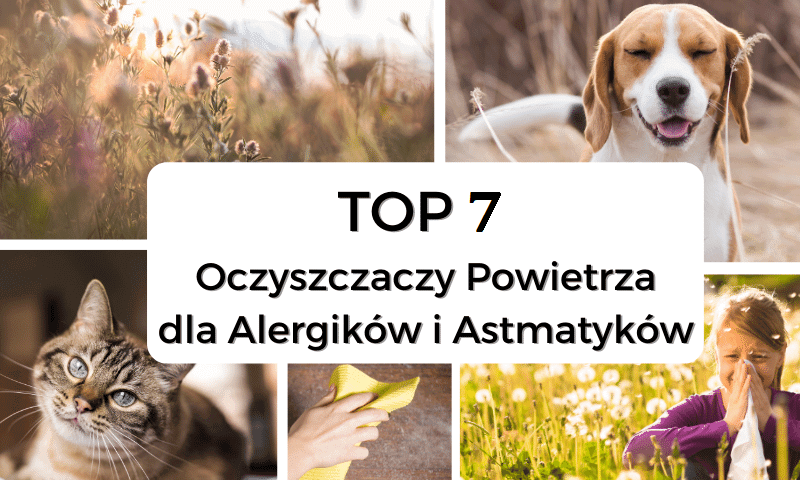 Top 5 oczyszczaczy powietrza dla alergików i astmatyków