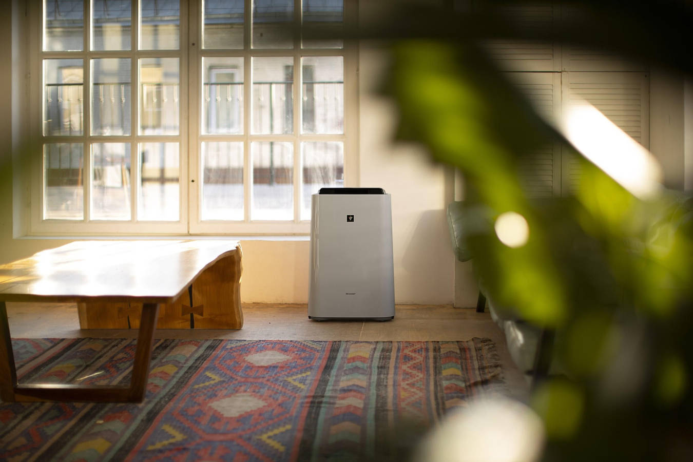 Oczyszczacz powietrza Sharp UA-HD50E-L w pomieszczeniu