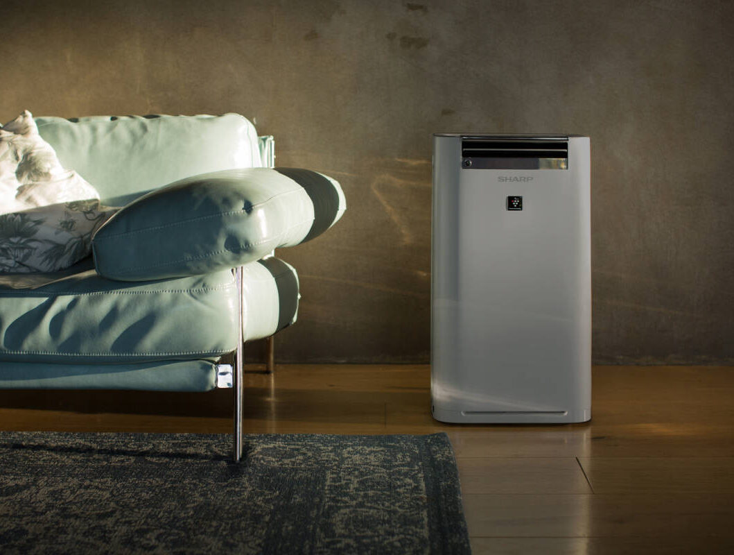 oczyszczacz powietrza Sharp UA-HG50E-L