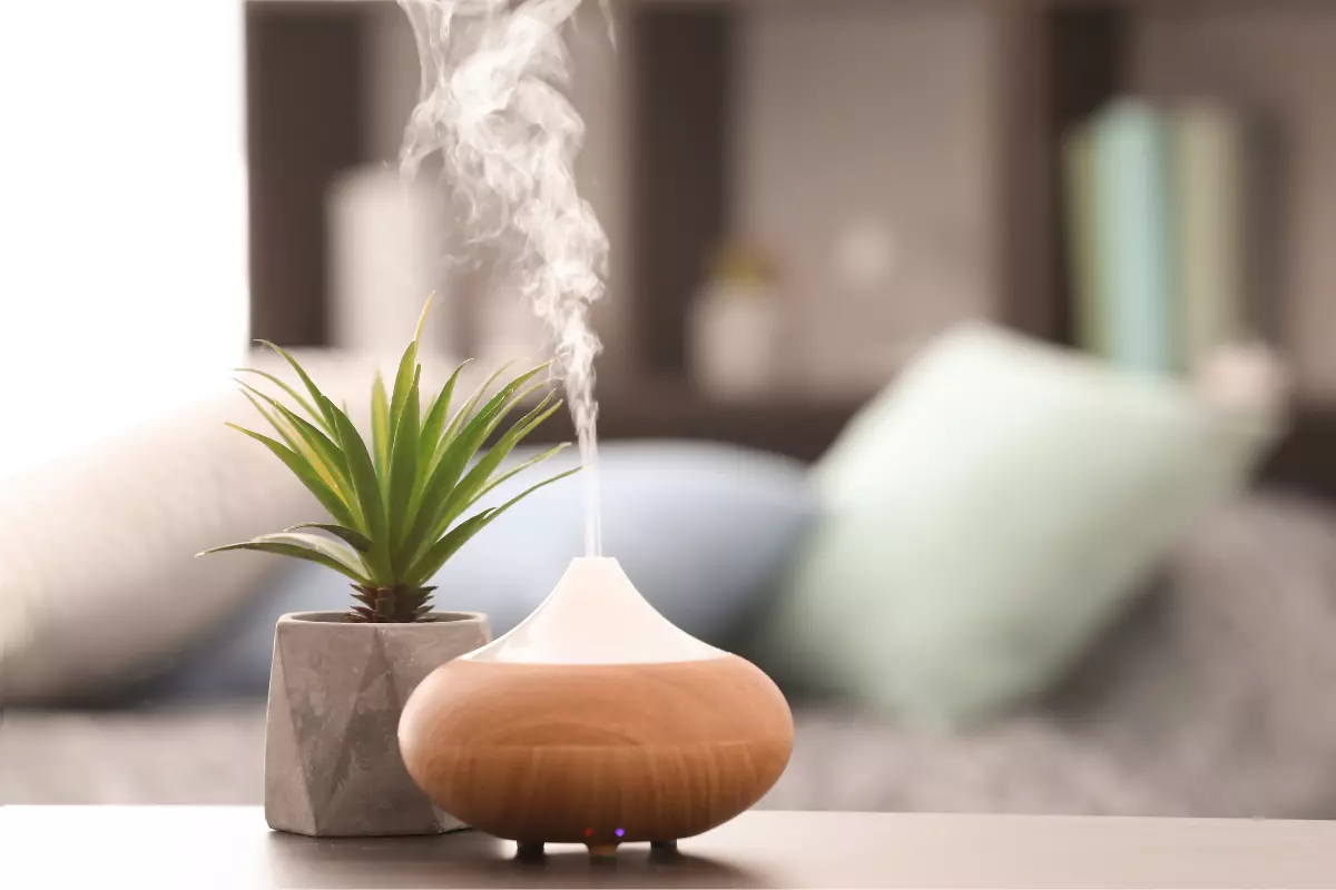 nawilżacz powietrza z jonizatorem